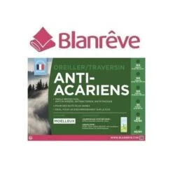 BLANREVE Lot De 2 Oreillers Anti-acariens 60 Cm -Lexibook Magasin blanreve lot de 2 oreillers anti acariens 60 cm 3245841175884 513445
