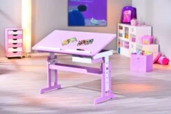 Bureau Inclinable Bois Rose Et Blanc Rubi -Lexibook Magasin bureau inclinable bois rose et blanc cecilia 4010340998352 69613