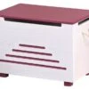 Coffre à Jouets Bois Blanc Et Fuchsia Alicia -Lexibook Magasin coffre a jouets bois blanc et fuchsia alicia 4010340271004 5909