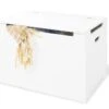 Pinolino Coffre à Jouets Enfant Laqué Blanc -Lexibook Magasin coffre a jouets enfant laque blanc 4035769046309 218353