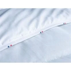 Couette 100% Française - 220 X 240 Cm - ABEIL -Lexibook Magasin couette 100 francaise 220 x 240 cm abeil 3087880029342 1300453