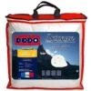 DODO Couette Naturelle Briançon - 200 X 200 Cm - Blanc -Lexibook Magasin dodo couette naturelle briancon 200 x 200 cm blanc 3307414049821 513823