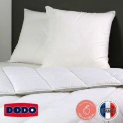 DODO Lot De 2 Oreillers LOVE NIGHT 60X60 Cm -Lexibook Magasin dodo lot de 2 oreillers love night 60x60 cm 3307410020787 461761
