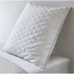 DORMIPUR Oreiller A Mémoire De Forme MEMOVITA 60x60 Cm -Lexibook Magasin dormipur oreiller a memoire de forme memovita 60x60 cm 5900246460789 513589