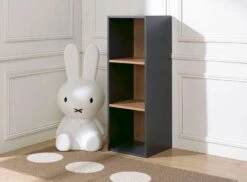 Etagère 3 Cases Anthracite Et Merisier Clair Multicases -Lexibook Magasin etagere 3 cases anthracite et merisier clair multicases 3700429610077 655568