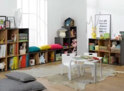 Etagère 3 Cases Anthracite Et Merisier Clair Multicases -Lexibook Magasin etagere 3 cases anthracite et merisier clair multicases 3700429610077 655569