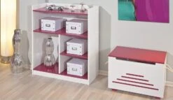 Etagére Fushia Alicia 2 -Lexibook Magasin etagere fushia alicia 4010340271400 9662