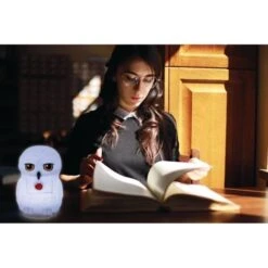 HARRY POTTER - Veilleuse 3D Edwige - Diffusion Lumiere En Couleurs - LEXIBOOK -Lexibook Magasin harry potter veilleuse 3d edwige diffusion lumiere en couleurs lexibook 3380743092126 1356231