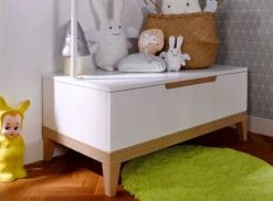 Portant Enfant 1 Tiroir Bois Blanc Et Hêtre Clair Evidence -Lexibook Magasin portant enfant 1 tiroir bois blanc et hetre clair evidence 3700429610022 654964